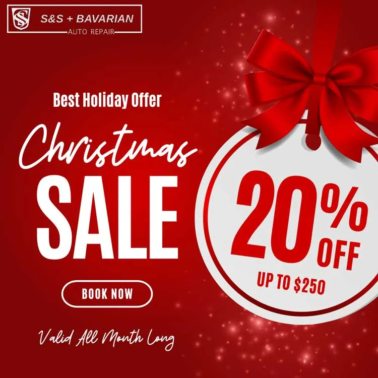 chrismas sale popup 01