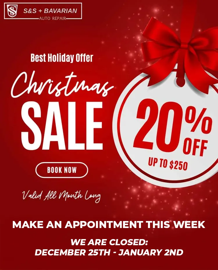 chrismas sale popup 01